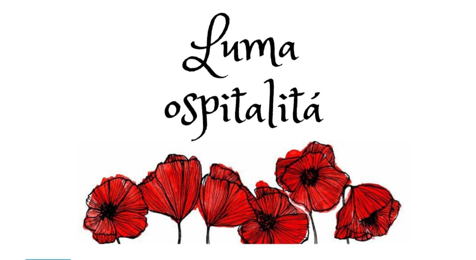 Luma Ospitalita Apartman Molfetta Kültér fotó